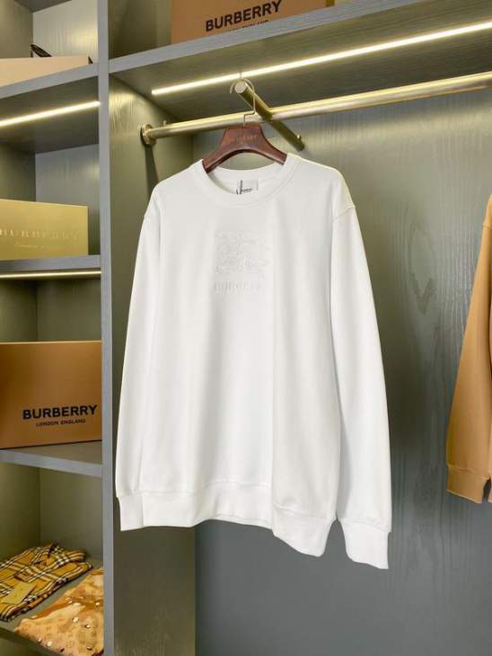 Picture of Burberry Sweatshirt _SKUBurberryS-2XLaztx871130966
